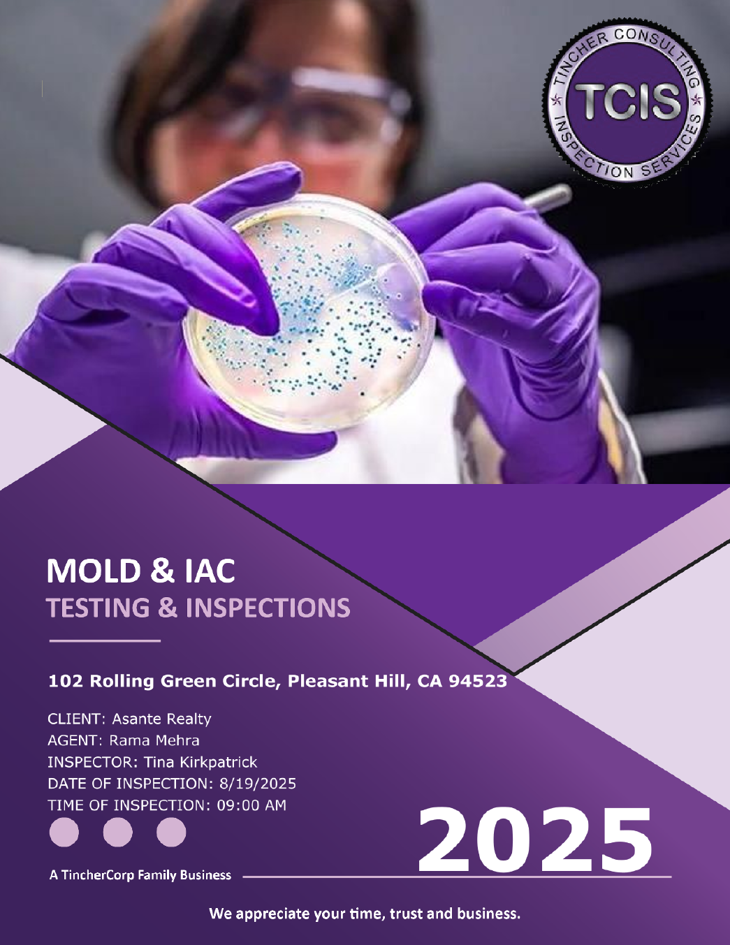 Mold Cover 2025 -